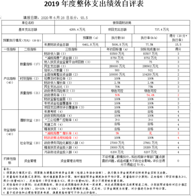崇陽縣政府-崇陽縣財政局2019年部門決算